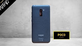 POCO F1  Xiaomis GIFT amp The CURSE [upl. by Deny533]