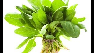 Spinach Health Benefits  Nutritionist Karen Roth  San Diego [upl. by Landbert]