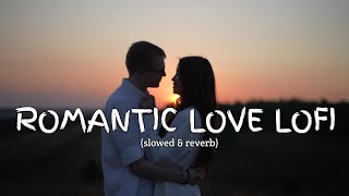 Romantic love lofi Lyrics  New hindi songs 2024  Hindi songs  Pop hindi songs [upl. by Turro]