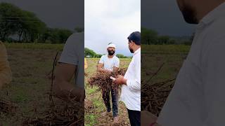 Pani ne ki soybean ki hatya funny short video funny shots deepakcomedyboy [upl. by Sicular487]