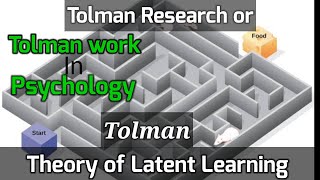 Tolman theory of latent learning Tolman work in Psychology  Rat and maze learning Life Pschology [upl. by Nauqed460]