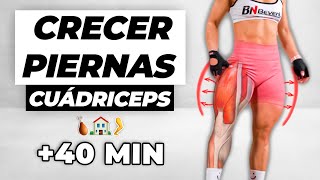 RUTINA EFECTIVA para PIERNAS CUÁDRICEPS en CASA 🍗 Rutina en Tiempo Real [upl. by Erodavlas]