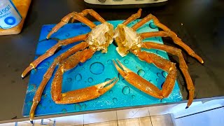 COCONUT amp CRAB PASTA  Wild Sea Catching Spider Crab From a Cliff Edge [upl. by Rowan]