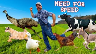 Whos the Fastest Animal on the Farm Educational Farm Video For Kids [upl. by Mable]