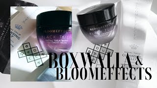 April Boxwalla Beauty Box ft Bloomeffects  Eco Beauty  Trish V [upl. by Nigem]