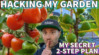 How To Grow Tomatoes And Figs Disease Free My 2Step Plan [upl. by Nottus436]