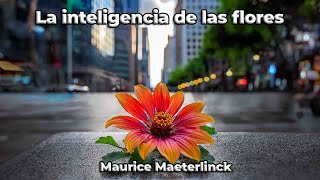 Prologo  La inteligencia de las flores  Maurice Maeterlinck  Audiolibro [upl. by Marshall]