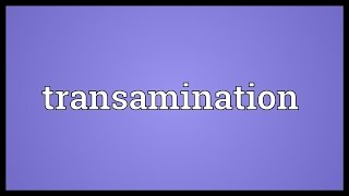 Transamination Meaning [upl. by Anuait]