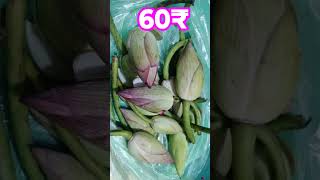 PRICE OF FRESH FLOWERS LOTUS KAMAL KE PHOOL KI KEEMAT BEST QUALITY [upl. by Aihsenod757]