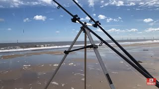 A mixed bag of fish at Scratby Norfolk Beach sea fishing [upl. by Inglebert987]