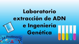 Laboratorio extracción de ADN e Ingeniería Genética [upl. by Nora]