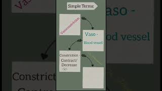 Simple Terms homeostasis vasoconstriction Vasodilation [upl. by Spalla]