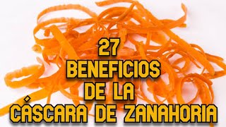 27 Beneficio de la Cáscara de Zanahoria [upl. by Elysia]