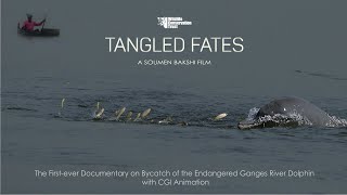 Tangled Fates  First Ever CGI Footage of Ganges River Dolphin  Bycatch amp Conservation Documentary [upl. by Garold]