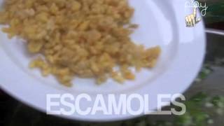 Gastronomía Receta Escamoles a la mantequilla [upl. by Cheatham]