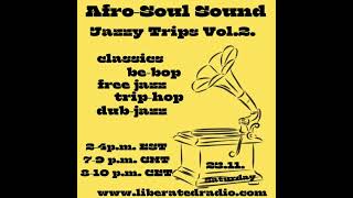 Selecta Sebő Afro Soul Sound  Jazzy Trips Vol 2 [upl. by Alejo]