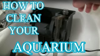 How to clean an aquarium  Beginners guide [upl. by Jocelin]