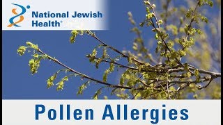 What Are Pollen Allergies and How Can You Manage Them [upl. by Oiligriv483]