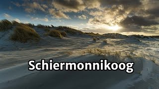 Landschapsfotografie Schiermonnikoog  Winterwind door de duinen [upl. by Ettolrahs263]