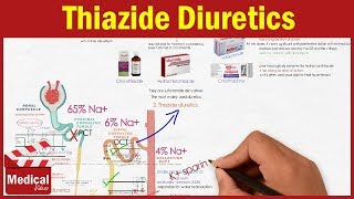 Pharmacology CVS 8 Diuretics  Thiazide Diuretics  Chlorothiazide Hydrochlorothiazide [upl. by Denni]