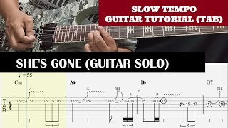 Steelheart Shes Gone Guitar Lesson With Tab Slow Tempo [upl. by Leimaj]