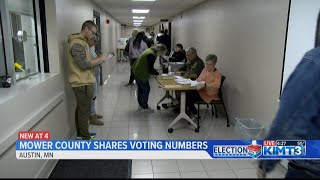 Mower County shares voting numbers ahead of Election Day [upl. by Gunthar]