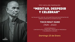 Homenaje a Thich Nhat Hanh padre del mindfulness poeta y monje vietnamita [upl. by Yesmar754]