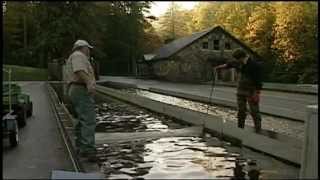 Walhalla State Fish Hatchery [upl. by Eyllek]