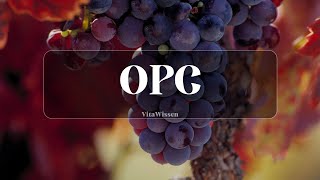 OPC entdecken Antioxidantien Herzgesundheit und mehr vitamin food gesundheit OPC [upl. by Nesyrb]