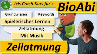 Zellatmung Keywords und Grundwissen spielerisch mit Musik lernen Schlüsselwortmethode BioAbi [upl. by Seumas]