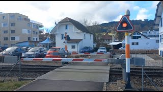 Bahnübergang Menziken CH  Swiss Railroad Crossing [upl. by Anaujat]