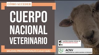 Salidas Profesionales Cuerpo Nacional Veterinario [upl. by Countess]