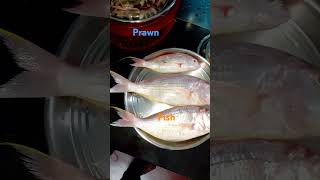 Viral Video  Prawn and Vola Fish [upl. by Anaidni824]