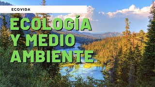 ECOLOGÍA y MEDIO AMBIENTE VIDEO EDUCATIVO ✅ [upl. by Aiekam]