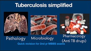 Tuberculosis simplified pathologymicrobiologypharmacology Quick revision for 2nd yr MBBS exams [upl. by Weylin]