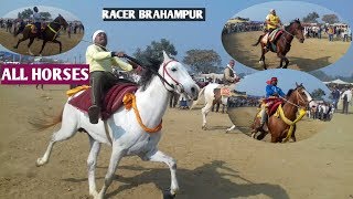 RIDERPONGA YADAV ALL RACER HORSES REVIEWS FROM BRAHAMPUR BIHAR HORSE FAIR [upl. by Llertal113]