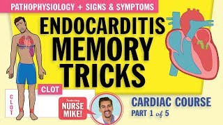 Endocarditis Pathophysiology signs and symptoms for nursing students NCLEX review [upl. by Ynnob]