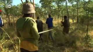 Zambia Measuring Forests  Global 3000 [upl. by Cassilda]