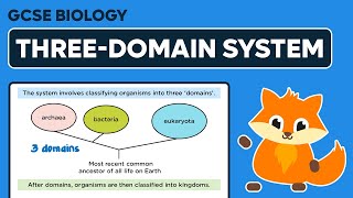 The ThreeDomain System  GCSE Biology [upl. by Soirtemed]