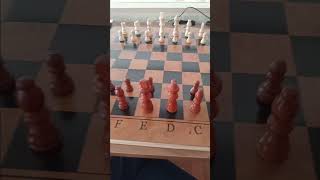 checkmate in 2 moves and checkmate in 3 moves [upl. by Einnob]