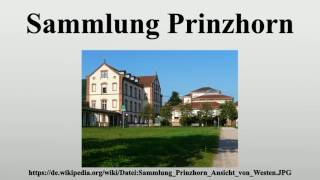 Sammlung Prinzhorn [upl. by Lawan]