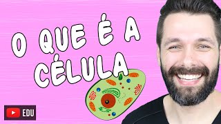 O QUE É A CÉLULA  Biologia com Samuel Cunha [upl. by Pasadis]