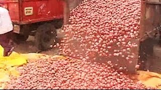 Maharashtra How political ambitions fuel rising onion prices [upl. by Enawtna720]