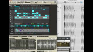 VORTEX Adding and Saving Sample Map Tutorial [upl. by Noret]