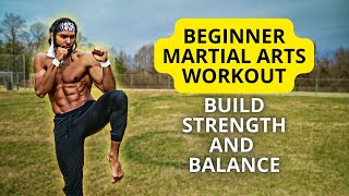 Beginner Martial Arts Workout For Strength And Balance [upl. by Silma422]