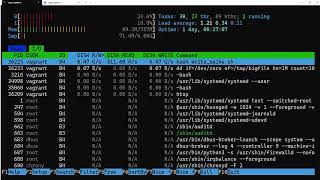 Exploring IO Metrics and Disk Simulation in Htop Project 1 [upl. by Squier]