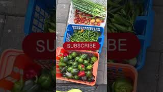 Harvest chilli before frost 🥶garden gardening harvest video videoviral [upl. by Eilis]