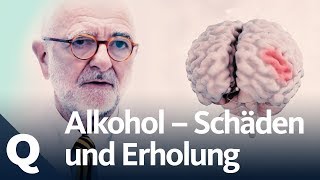 Wie gut kann sich der Körper vom Alkohol erholen  Quarks [upl. by Warga410]