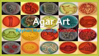 Making Agar Art with Microbes [upl. by Eade]