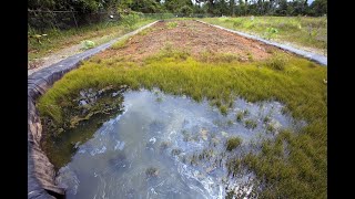 Bioremediation Restoring Contaminated Ecosystems Naturally [upl. by Ennaeiluj]